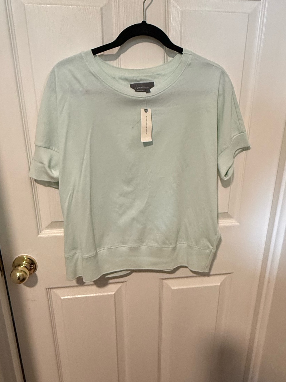 Anthropologie women’s Light Sage Crewneck Sweater top